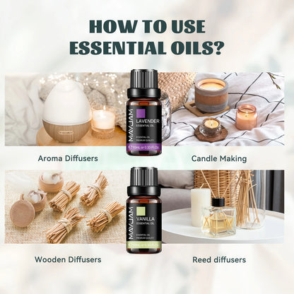 Zynerae Pure Essential Oils 10ml – 37 Scents | Aromatherapy & Fragrance Oil