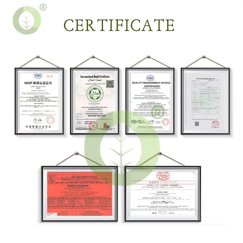 Zynrae Hydroxyapatite Powder 60% – Food Grade, Toothpaste Safe